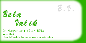 bela valik business card