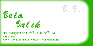 bela valik business card